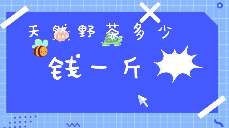 天然野茶多少钱一斤