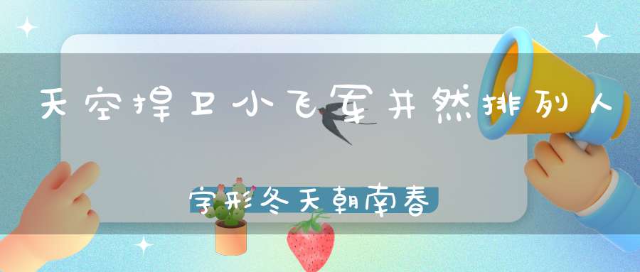 天空捍卫小飞军，井然排列人字形，冬天朝南春回北，规规矩矩纪律