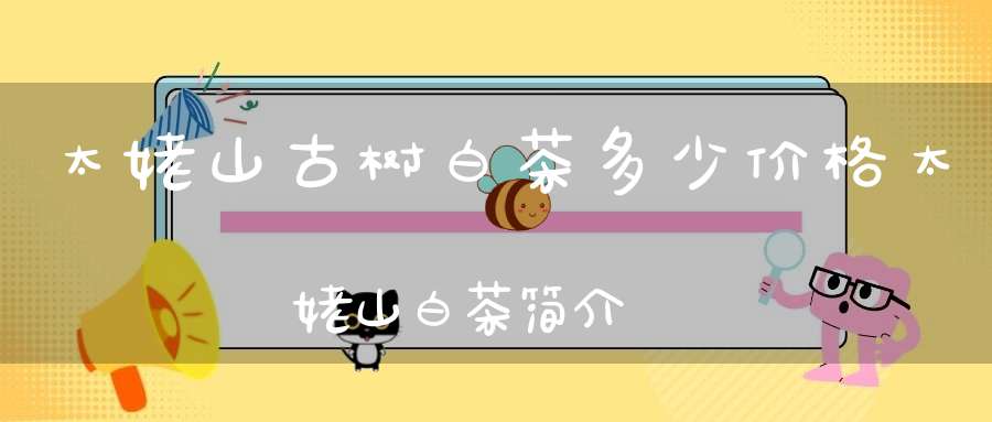 太姥山古树白茶多少价格太姥山白茶简介