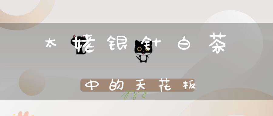 太姥银针白茶中的天花板