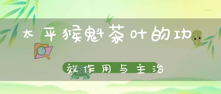 太平猴魁茶叶的功效作用与主治