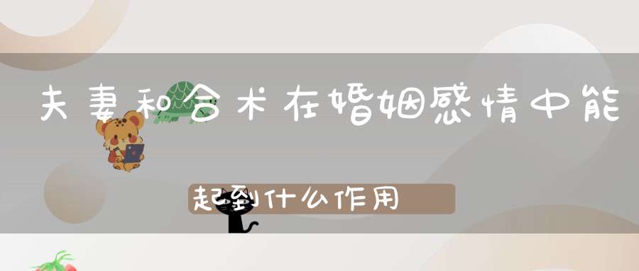 夫妻和合术在婚姻感情中能起到什么作用