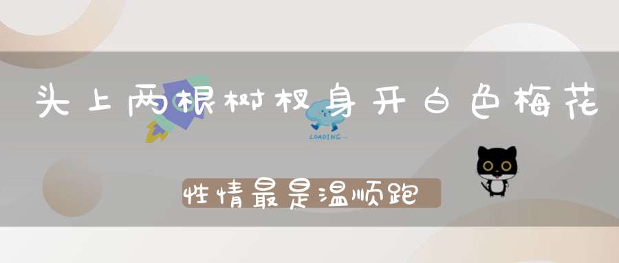 头上两根树杈，身开白色梅花，性情最是温顺，跑步赛过骏马。 （猜一动物）