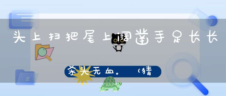 头上扫把，尾上阔凿，手足长长，杀头无血。 （猜一动物）