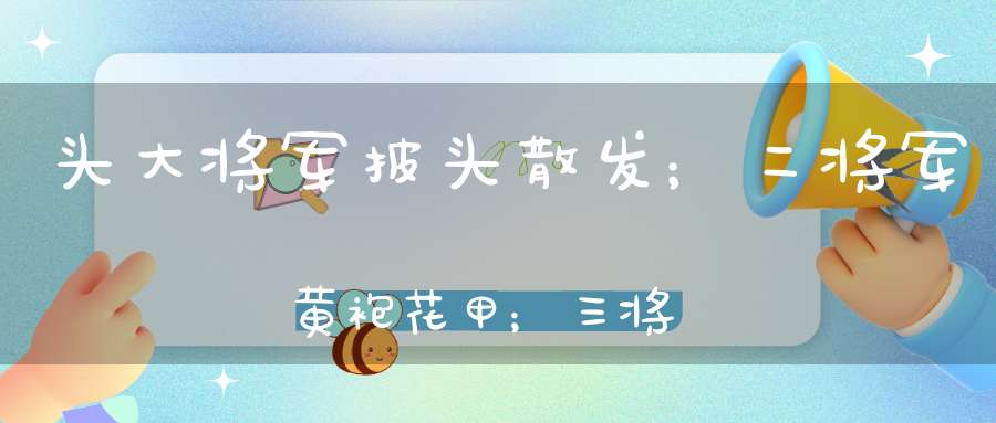 头大将军披头散发； 二将军黄袍花甲； 三将军肥头腮脑； 四将