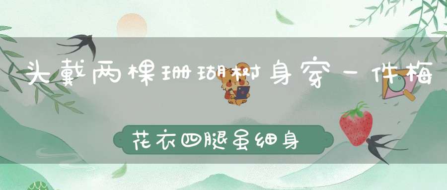 头戴两棵珊瑚树，身穿一件梅花衣，四腿虽细身矫健，跑上山去快如风。 （猜一动物）