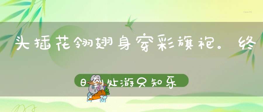 头插花翎翅，身穿彩旗袍。终日到处游，只知乐逍遥（打一动物）