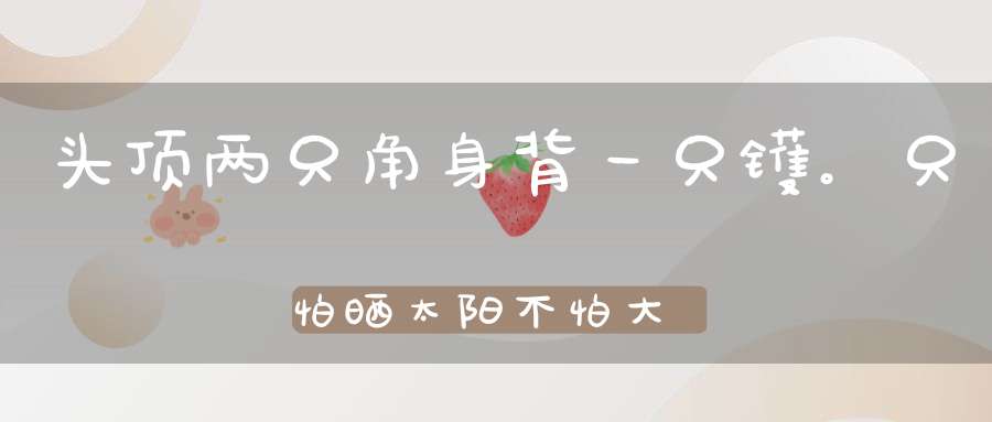 头顶两只角，身背一只镬。只怕晒太阳，不怕大雨落（打一动物）