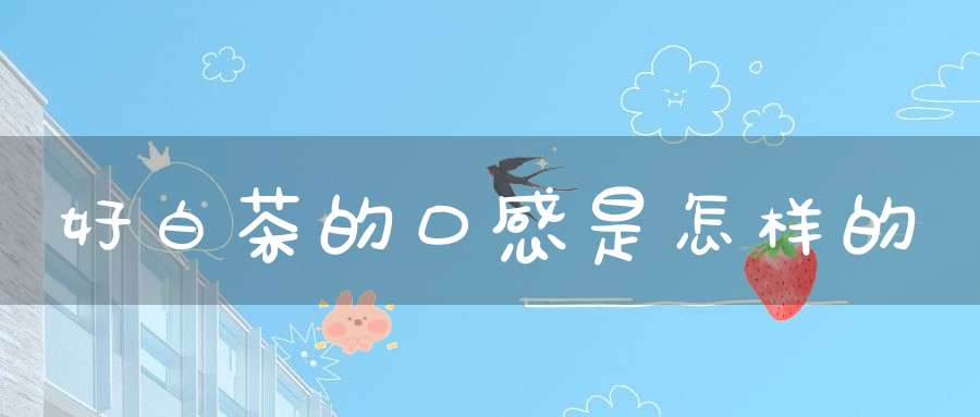 好白茶的口感是怎样的
