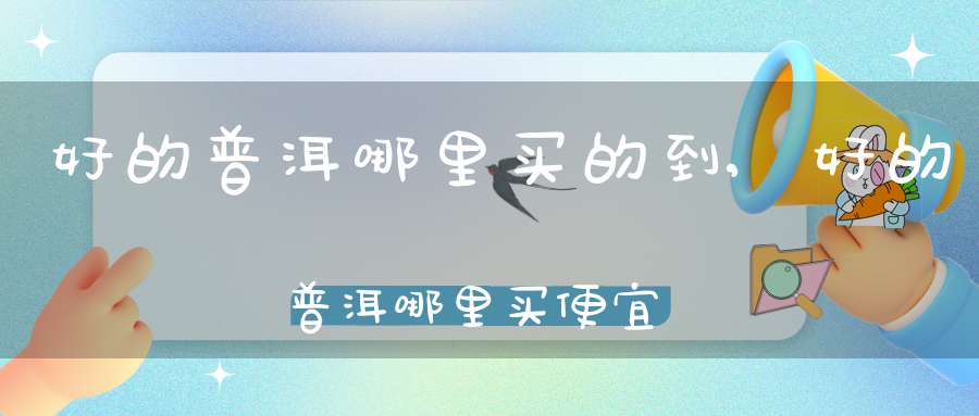 好的普洱哪里买的到,好的普洱哪里买便宜