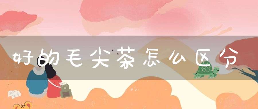 好的毛尖茶怎么区分