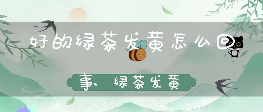 好的绿茶发黄怎么回事,绿茶发黄