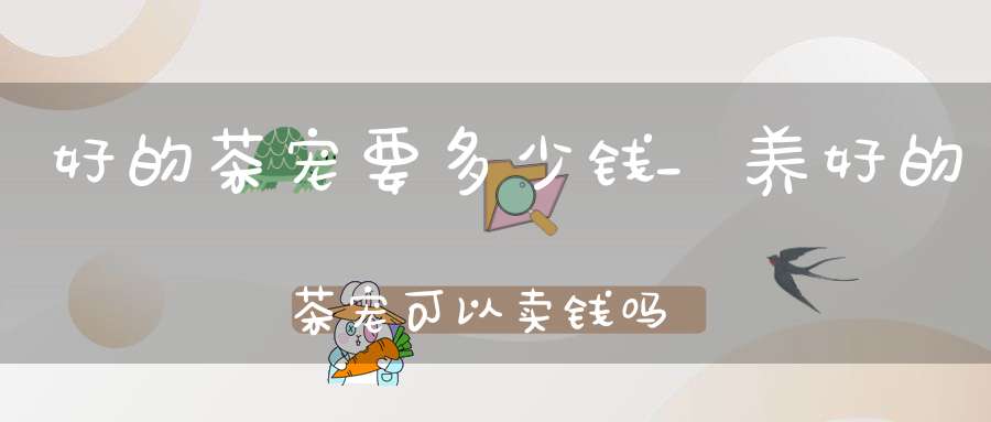 好的茶宠要多少钱_养好的茶宠可以卖钱吗