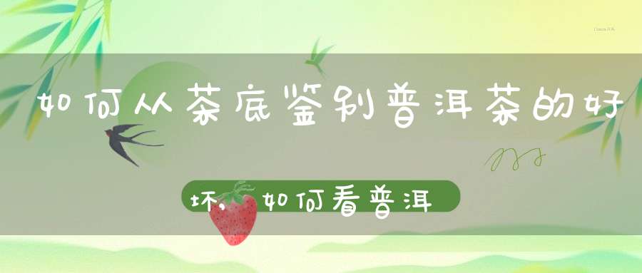 如何从茶底鉴别普洱茶的好坏,如何看普洱茶叶底