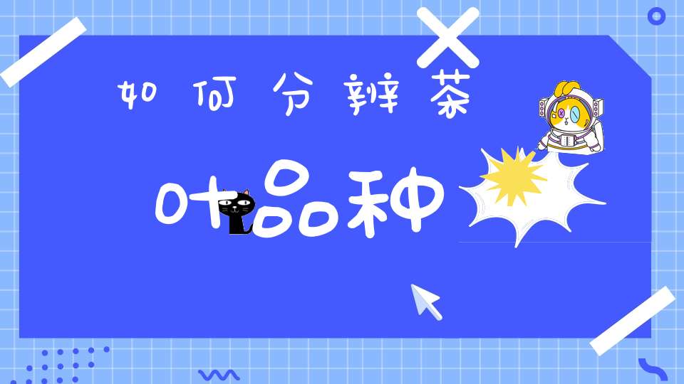 如何分辨茶叶品种