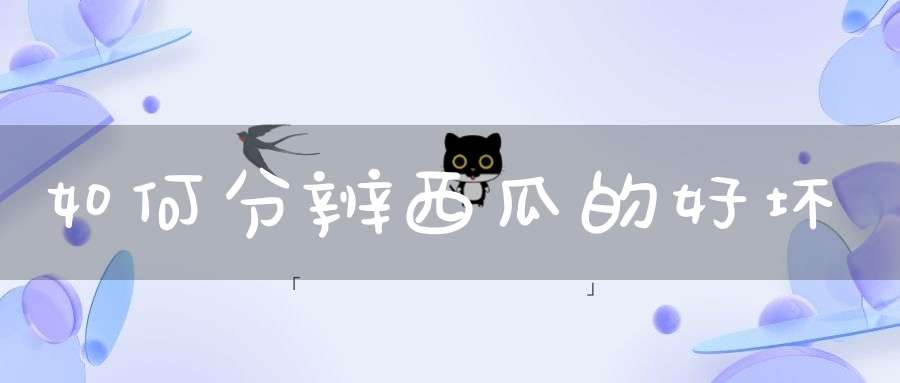 如何分辨西瓜的好坏