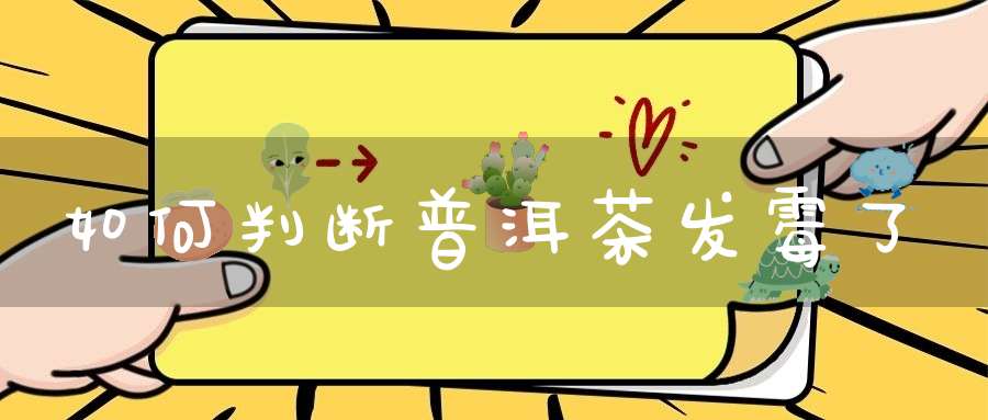 如何判断普洱茶发霉了