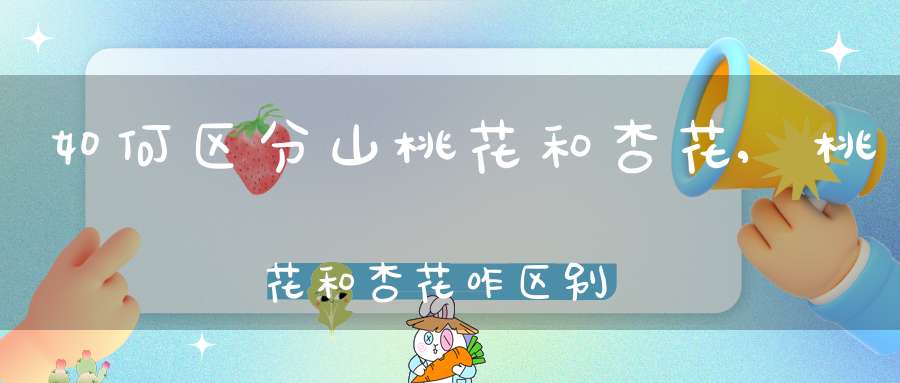 如何区分山桃花和杏花,桃花和杏花咋区别