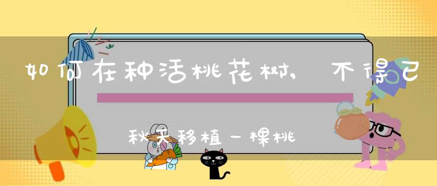 如何在种活桃花树,不得已秋天移植一棵桃树怎样才能种活