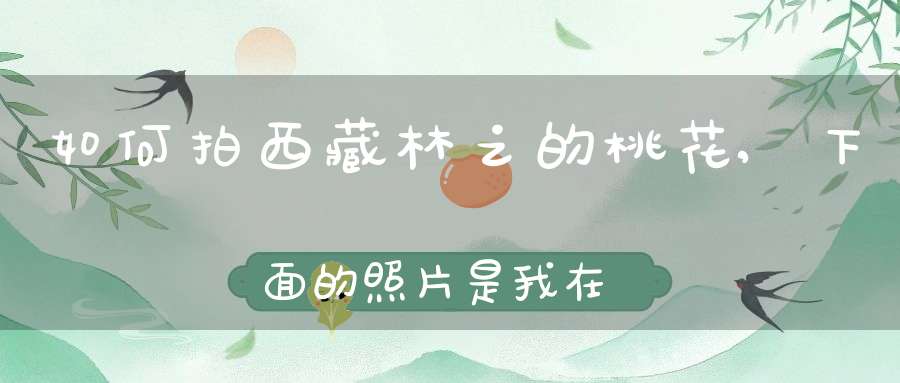 如何拍西藏林之的桃花,下面的照片是我在西藏旅行途中在林芝拍的，来个专家帮忙看看这是什么花？？？急用，高分，谢谢！！！