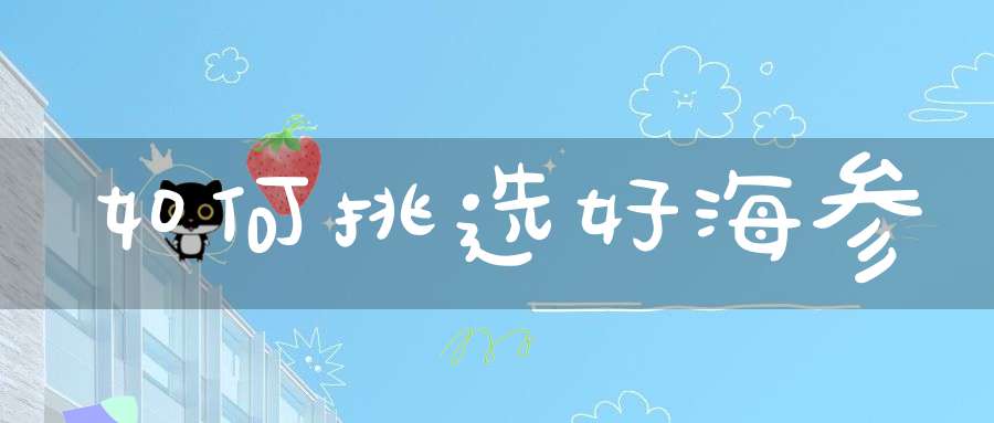 如何挑选好海参