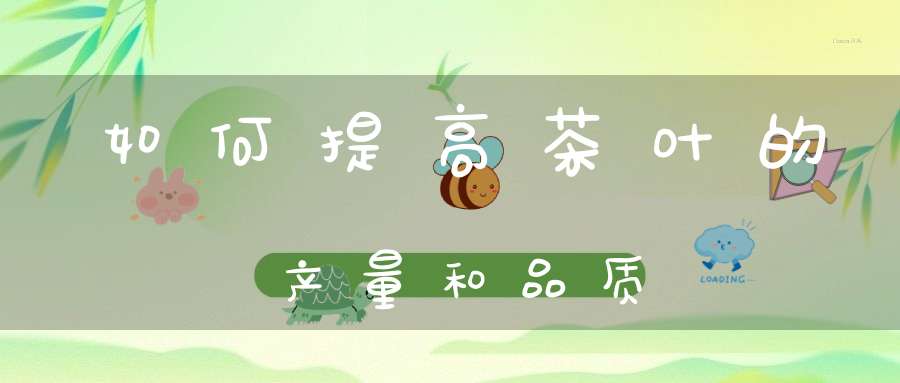 如何提高茶叶的产量和品质