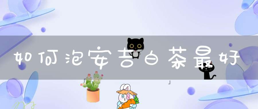 如何泡安吉白茶最好