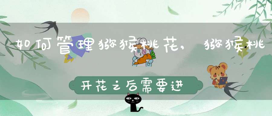如何管理猕猴桃花,猕猴桃开花之后需要进行哪些管理