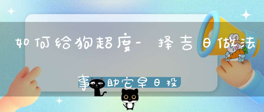 如何给狗超度-择吉日做法事-助它早日投胎