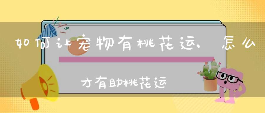 如何让宠物有桃花运,怎么才有助桃花运？