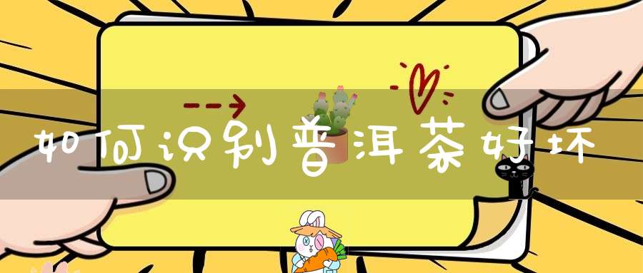 如何识别普洱茶好坏