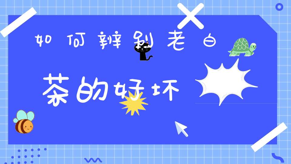 如何辨别老白茶的好坏