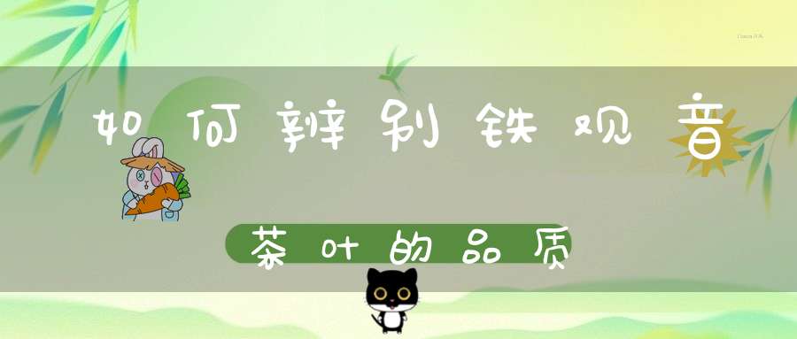 如何辨别铁观音茶叶的品质