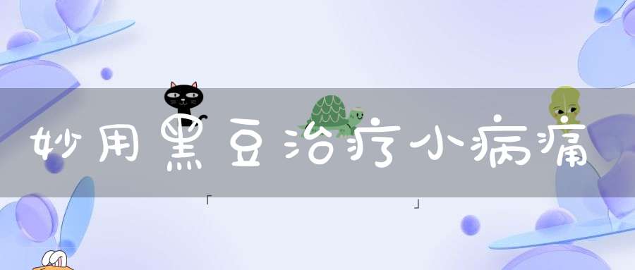 妙用黑豆治疗小病痛