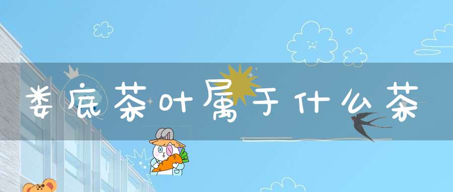 娄底茶叶属于什么茶