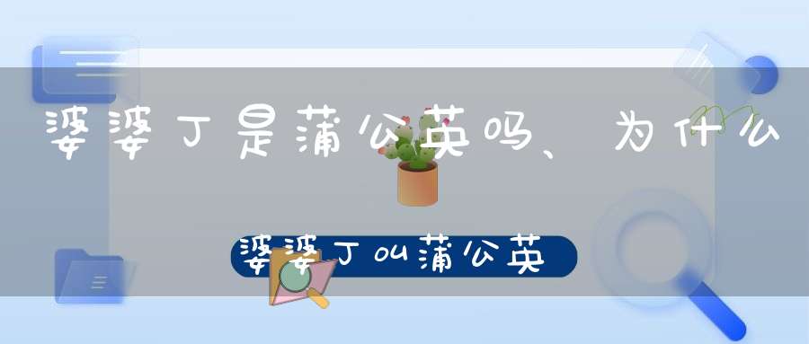 婆婆丁是蒲公英吗、为什么婆婆丁叫蒲公英？