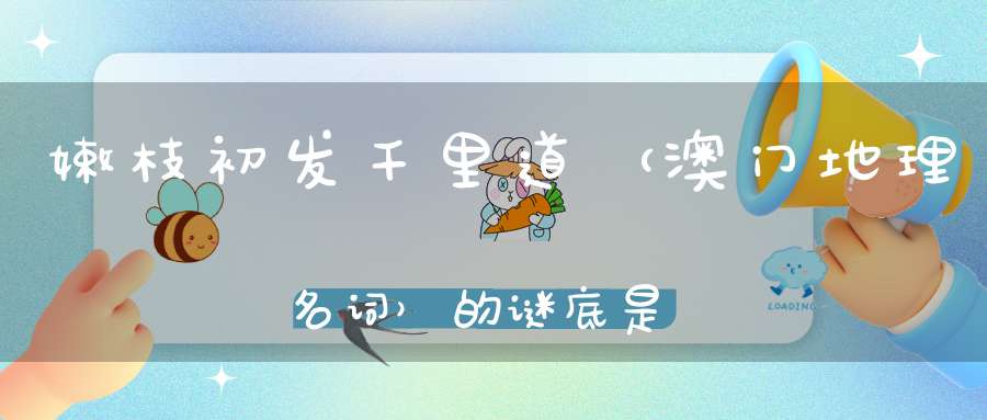 嫩枝初发千里道 （澳门地理名词）的谜底是什么?