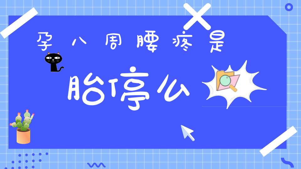 孕八周腰疼是胎停么