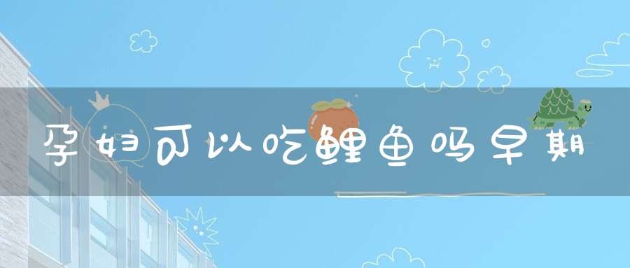孕妇可以吃鲤鱼吗早期