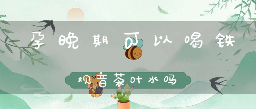 孕晚期可以喝铁观音茶叶水吗