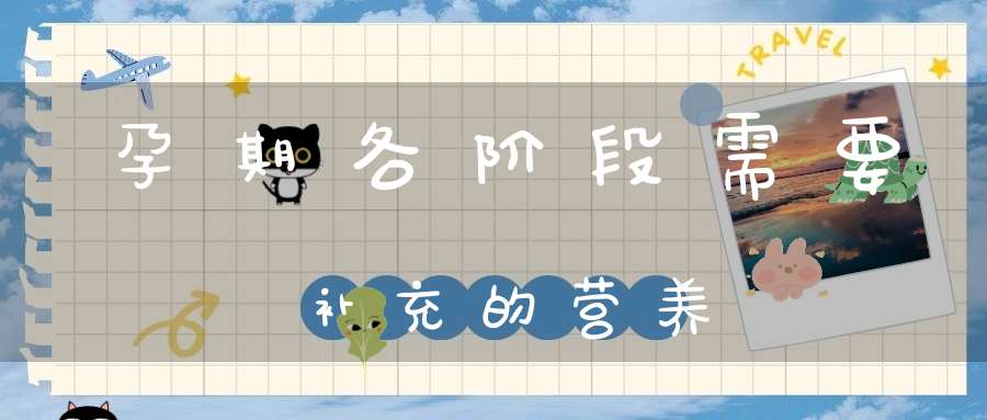 孕期各阶段需要补充的营养