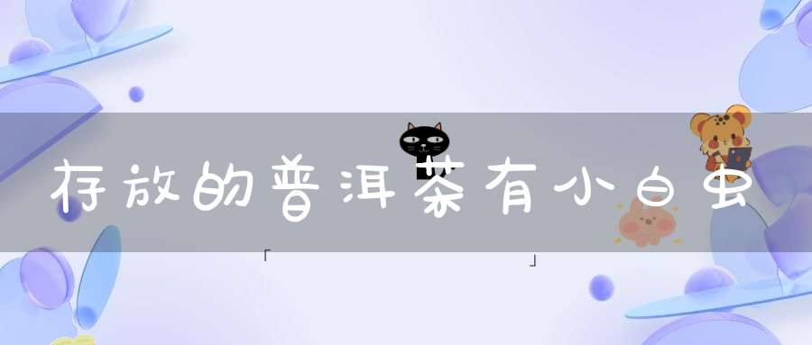 存放的普洱茶有小白虫