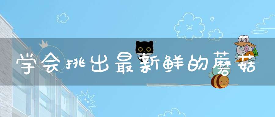 学会挑出最新鲜的蘑菇