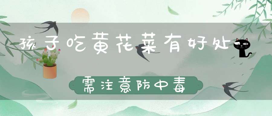 孩子吃黄花菜有好处-需注意防中毒