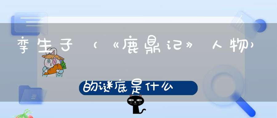 孪生子 （《鹿鼎记》人物）的谜底是什么?