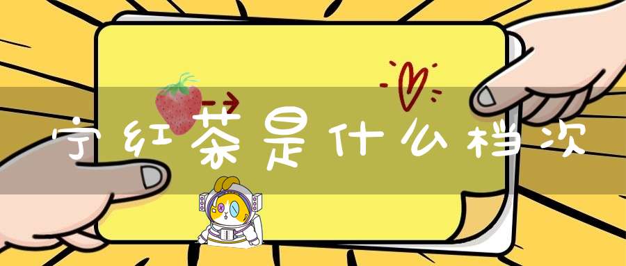宁红茶是什么档次