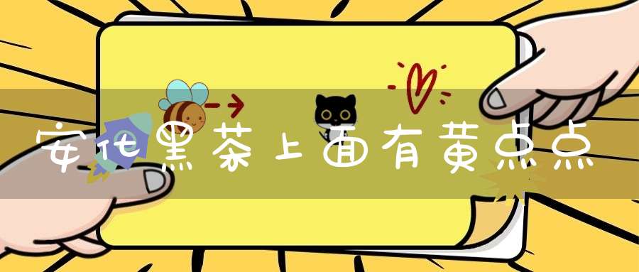 安化黑茶上面有黄点点