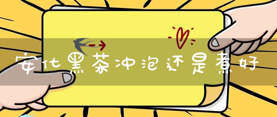 安化黑茶冲泡还是煮好