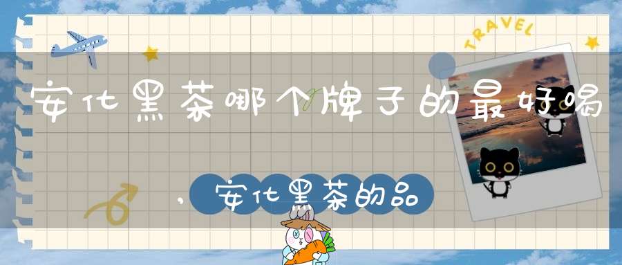 安化黑茶哪个牌子的最好喝,安化黑茶的品牌