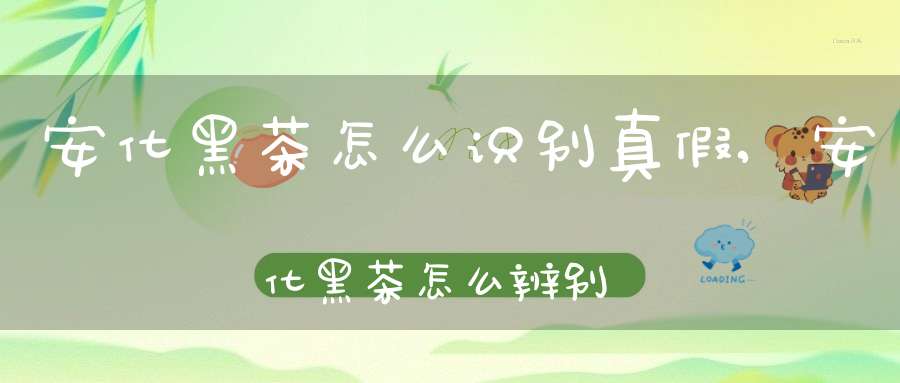 安化黑茶怎么识别真假,安化黑茶怎么辨别品质